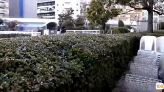 《成全动漫视频观看免费下载》HD免费在线观看